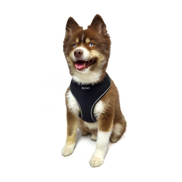 Ultra Comfot Reflective Harness Vest - Black - Picture 4 of 4